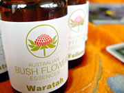 �G�b�Z���X���[�f�B���O