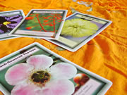 ハーモニーウォーター