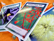 ハーモニーウォーター