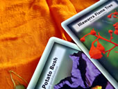 �n�[���j�[�E�H�[�^�[